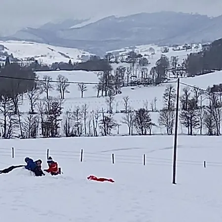 Vallee Du Puy-mary - *