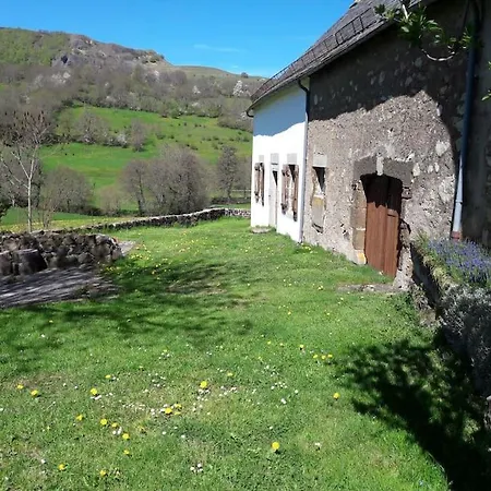 Vallee Du Puy-mary - * Cheylade