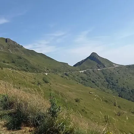 Vallee Du Puy-mary - בית נופש Cheylade