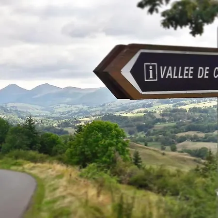 Vallee Du Puy-mary - Cheylade